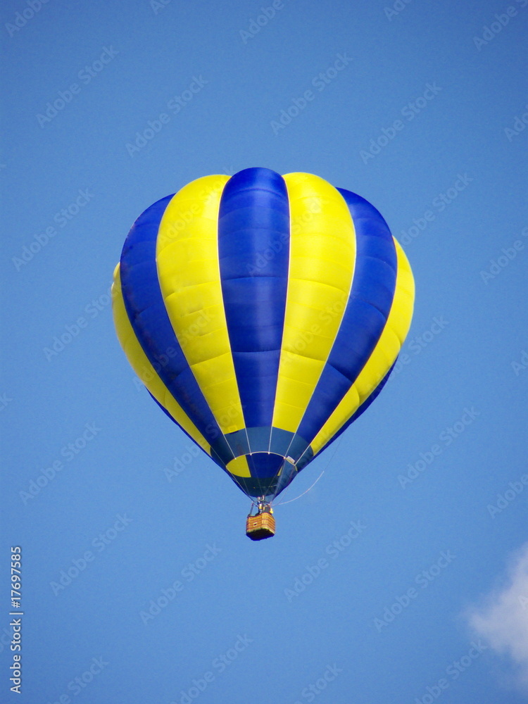 Fototapeta premium Hot air ballon
