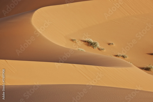 soft shaped desert sand dune