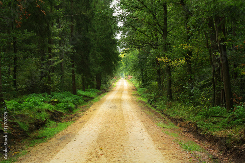 Waldstraße photo