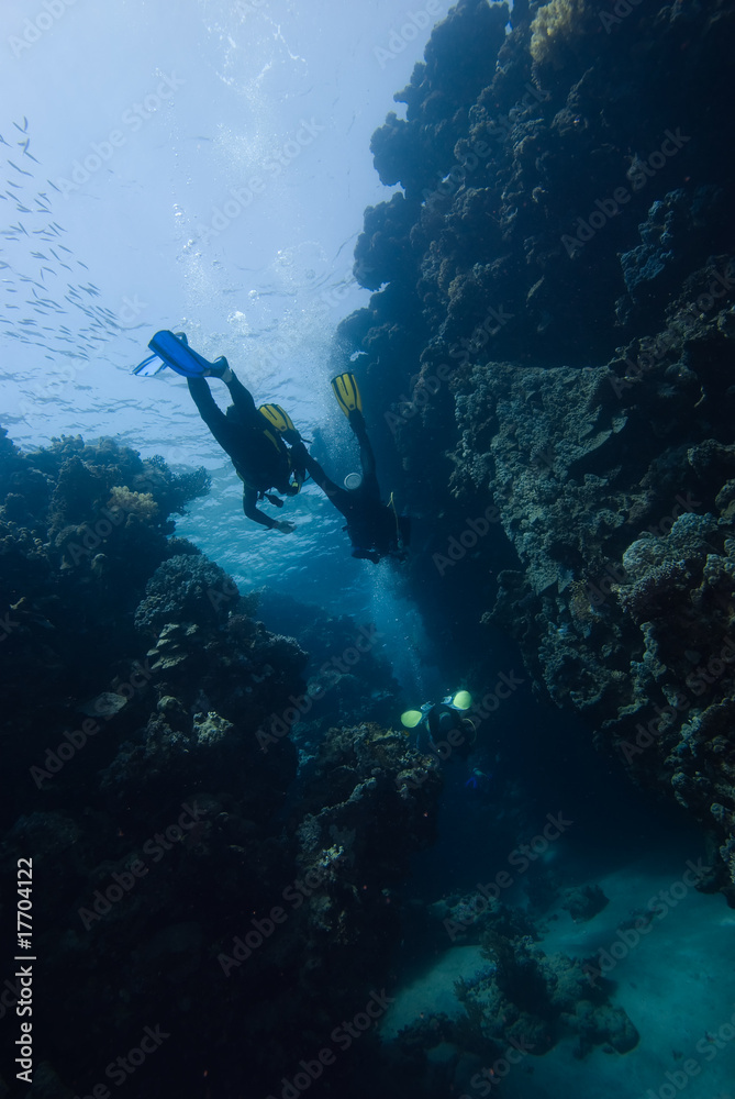 A shot from below of a group of divers entering an underwater ca A shot from below of a group of divers entering an underwater ca
