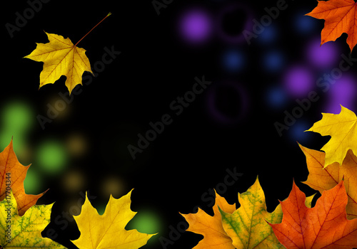 autumn leaves