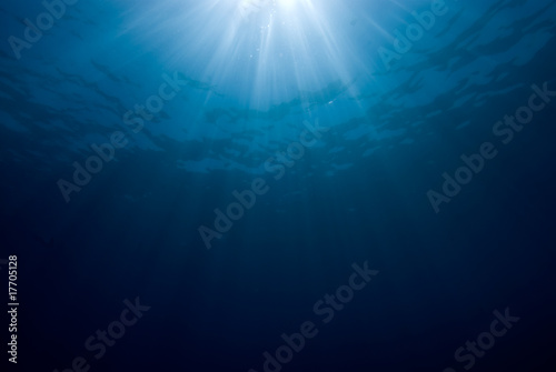 Sunrays breaking through the surface of the sea. © Mark Doherty