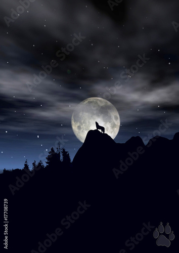 Fotografie Wolf howling in moonlight silhoutte