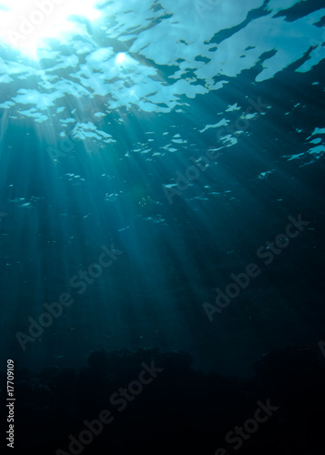 Sunrays at the surface. © Mark Doherty