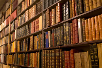 Wandcirkels Bibliotheek Imposante bibliotheek met gewelfd plafond  © Christophe Fouquin