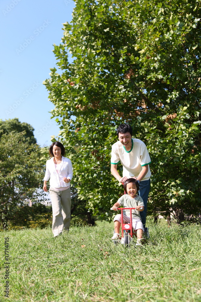 Obraz premium Familiy in the park