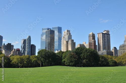 Central Park and skyscraper on a Clear Blue day.