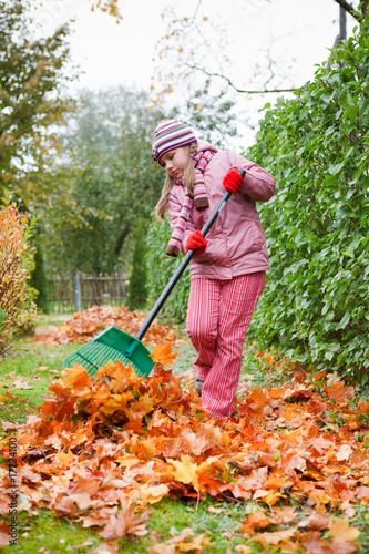 Little girl rake autumn leaves in garden
