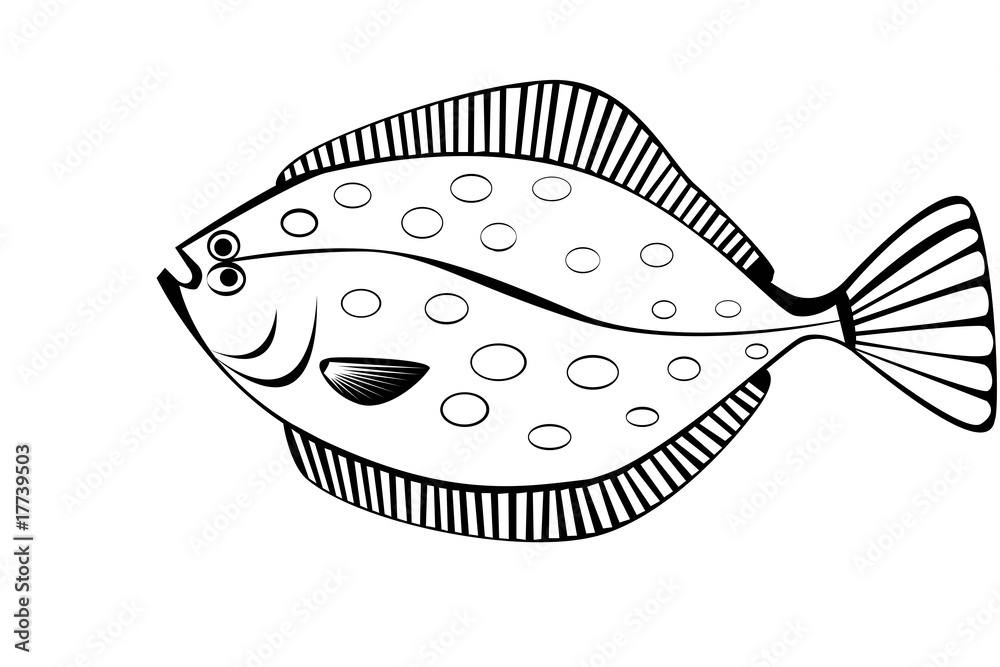 Obraz premium stylish illustration of flounder isolate