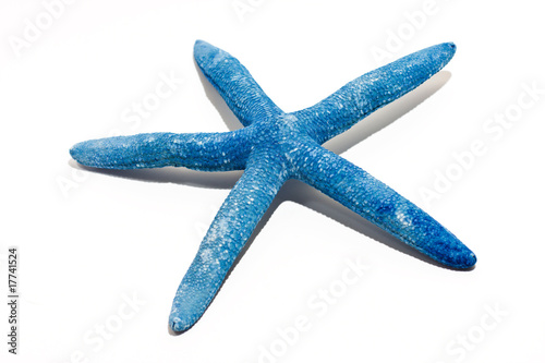 Starfish, seashell