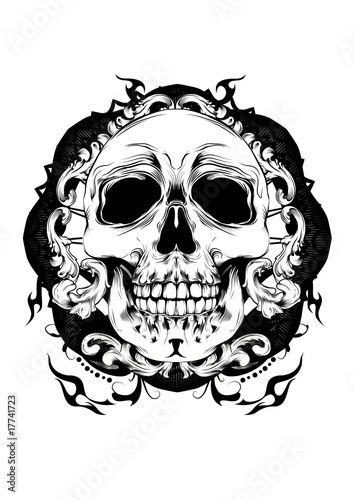 skull