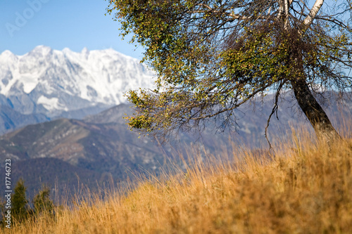 Monte rosa