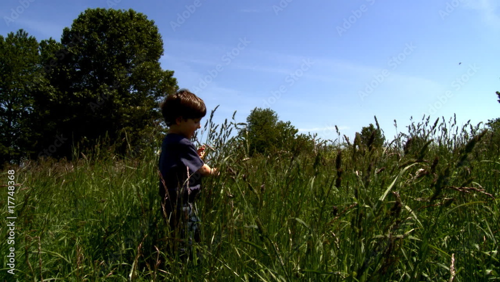 Little boy walking in the field with purple flowers Little boy walking in the field with purple flowers