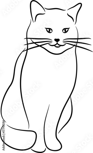 Cat Silhouette