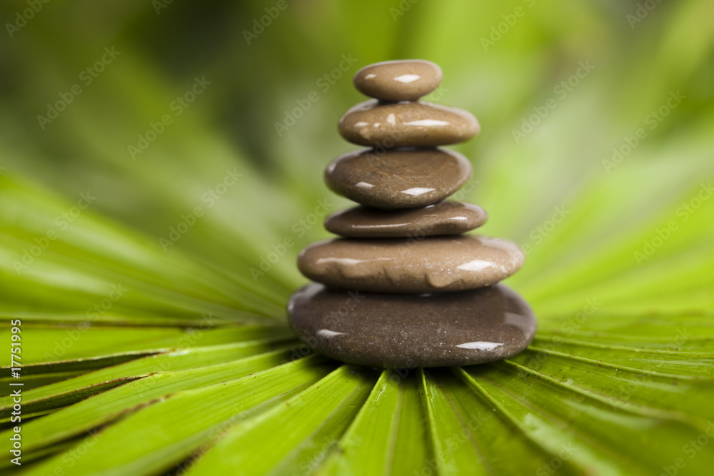 Obraz premium Stone pillar on green plants