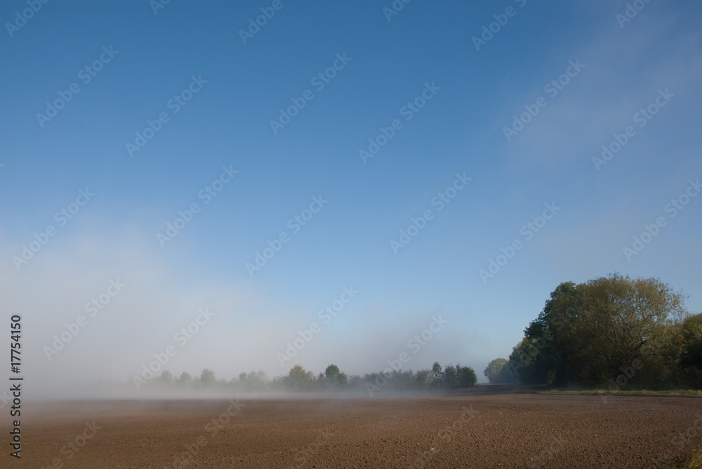 Obraz premium Herbstnebel