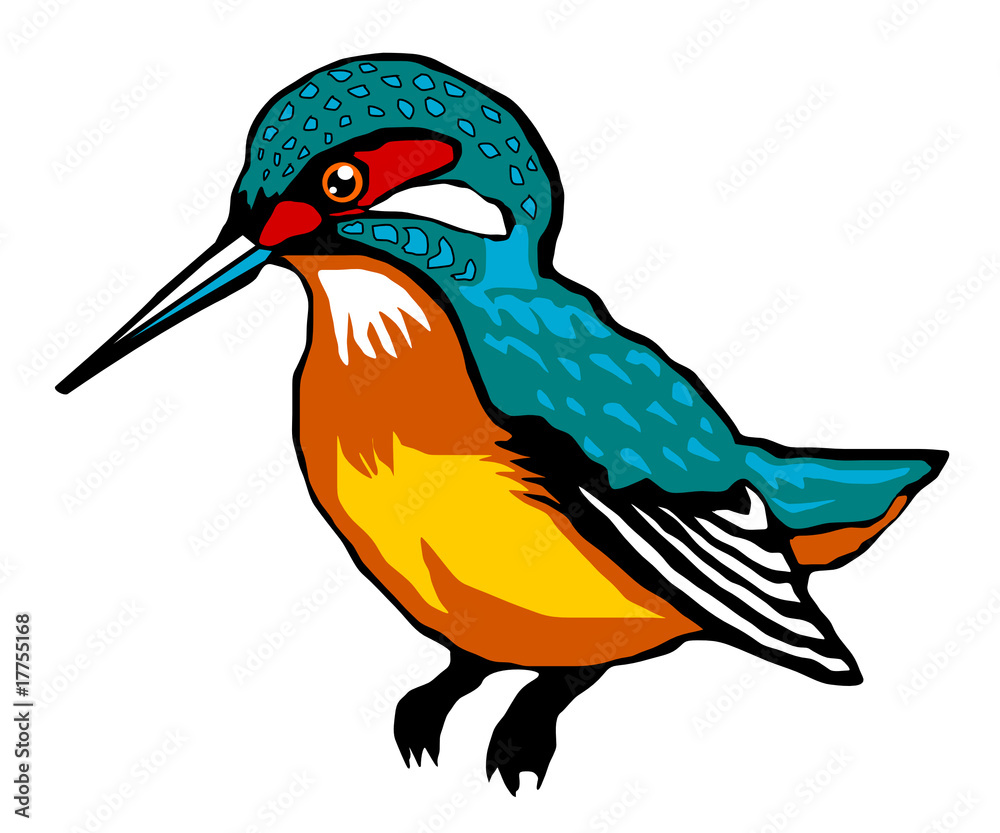 Obraz premium kingfisher