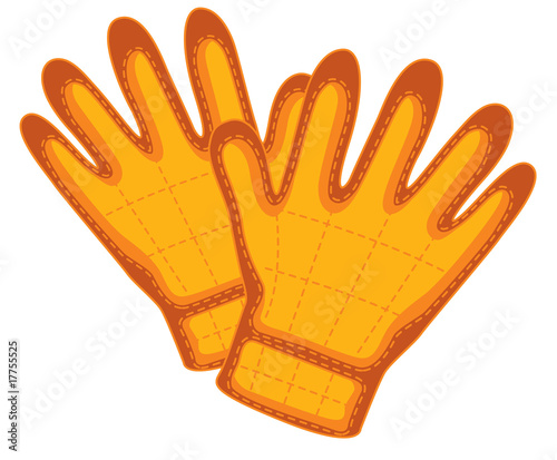 gloves