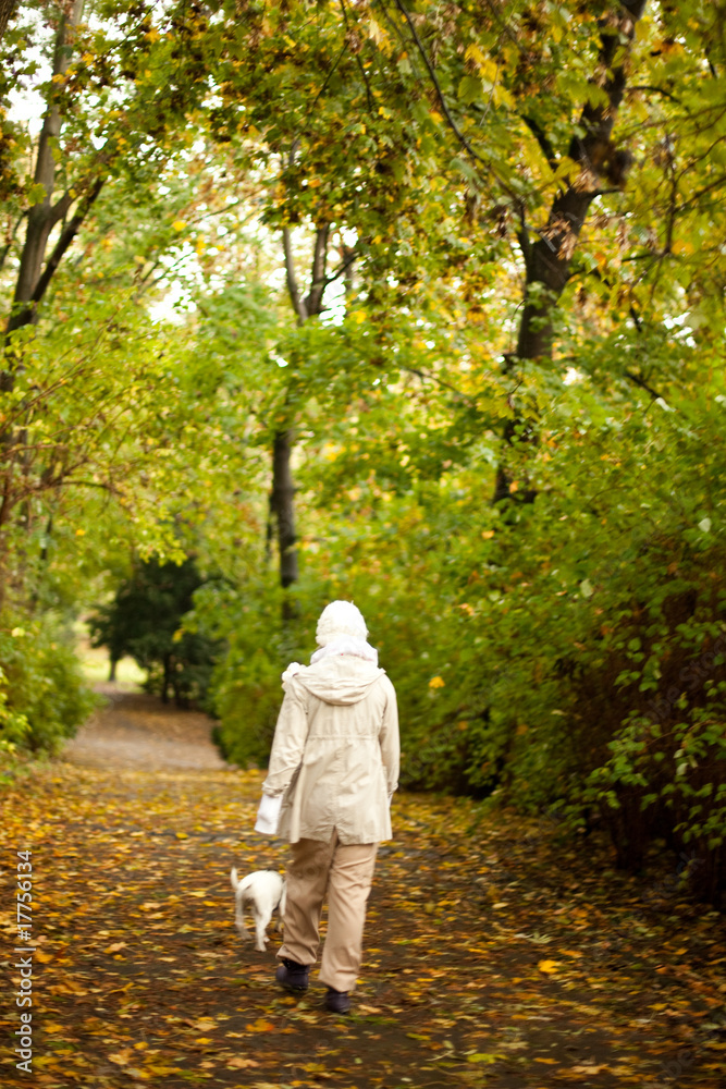 Fototapeta premium Autumn