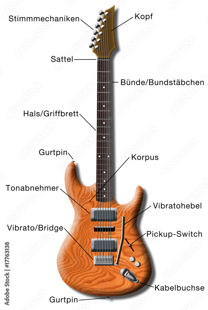 aufbau einer e-gitarre Stock Illustration | Adobe Stock