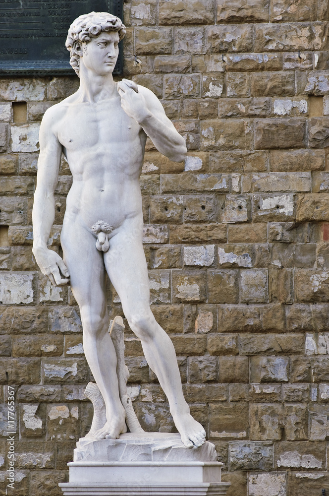 Obraz premium David di Michelangelo #3