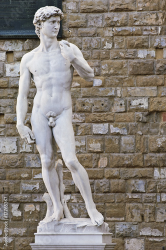 David di Michelangelo #3