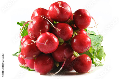 Bunch of fresh garned radishes with leaves
