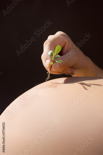 Pregnant woman holding a growing plant roots