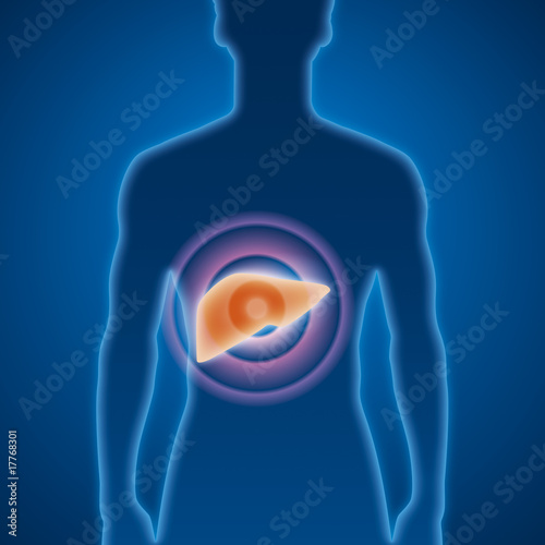 Leber, Medizin, Untersuchung