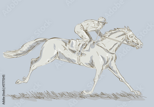 Horse and jockey on a winning run