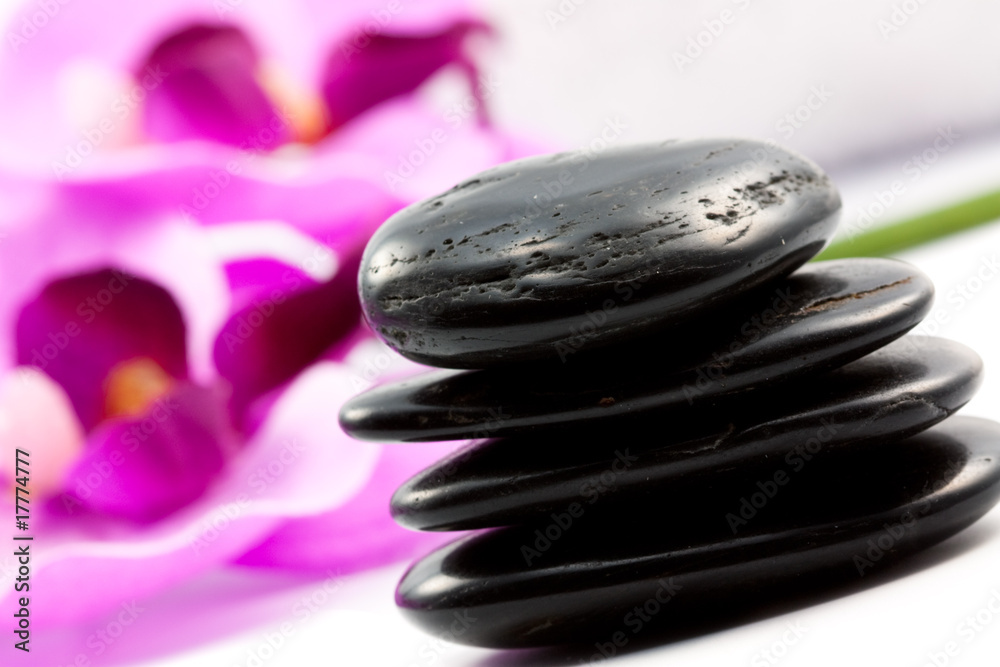 wellness wellness
