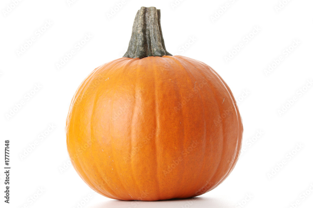 Pumpkin Pumpkin