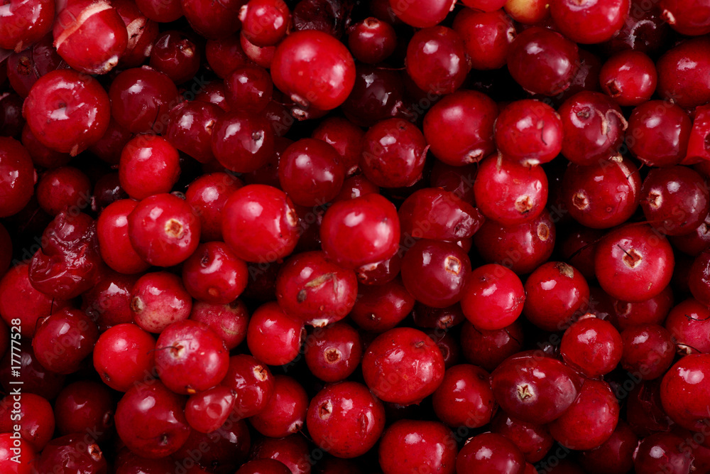 Cranberry