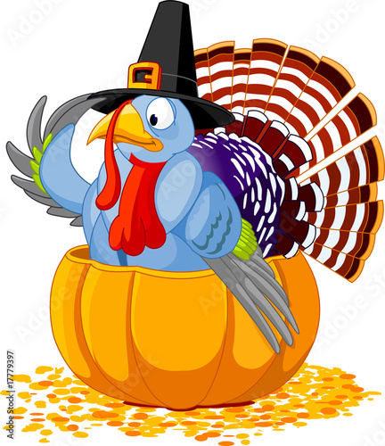 Pilgrim Turkey in pumpkin