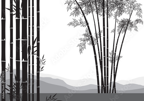 bamboo tree