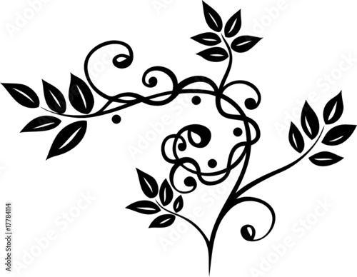 Ranke, Laub, Blätter, filigran, floral, abstrakt