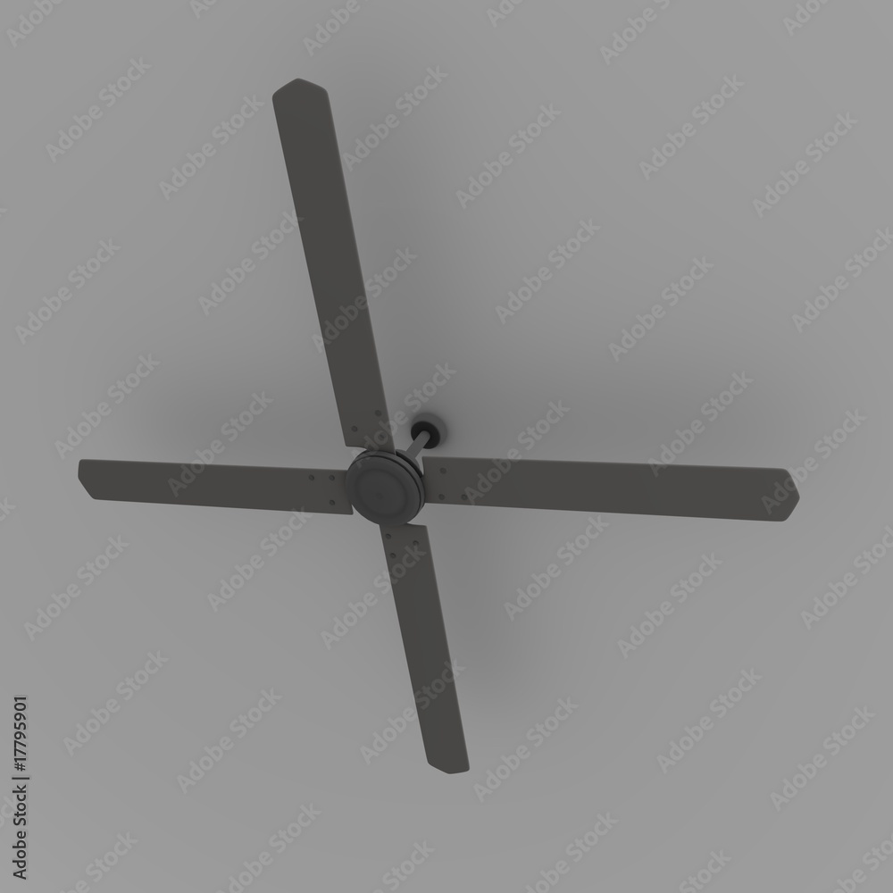 ceiling fan ceiling fan