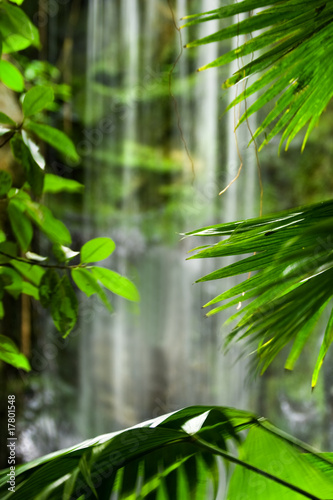 Waterfall and green leaves