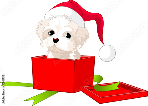 Puppy gift