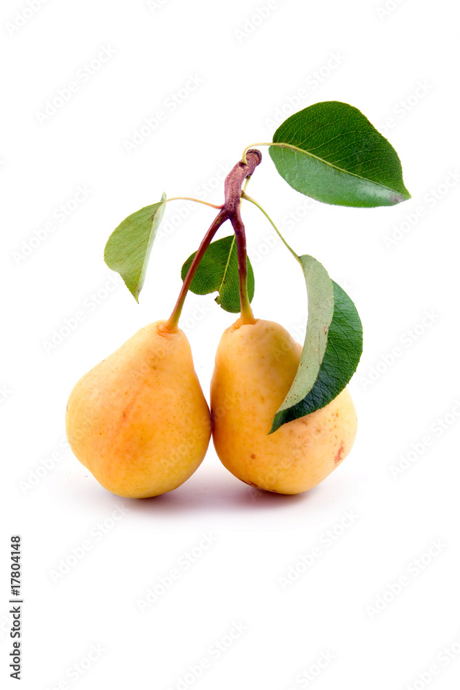 Fresh pears Fresh pears