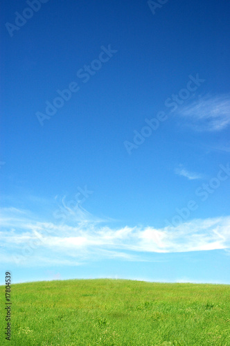 Blue sky and meadow