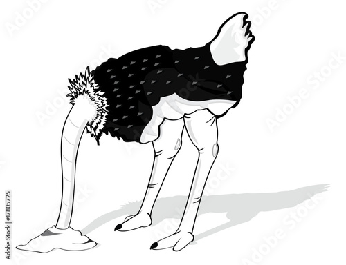 Ostrich with its head in the sand