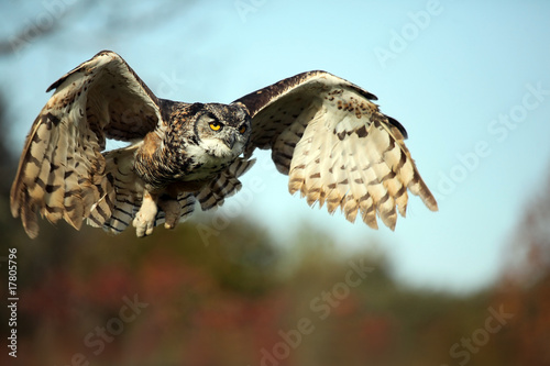 Cleared To Land photo