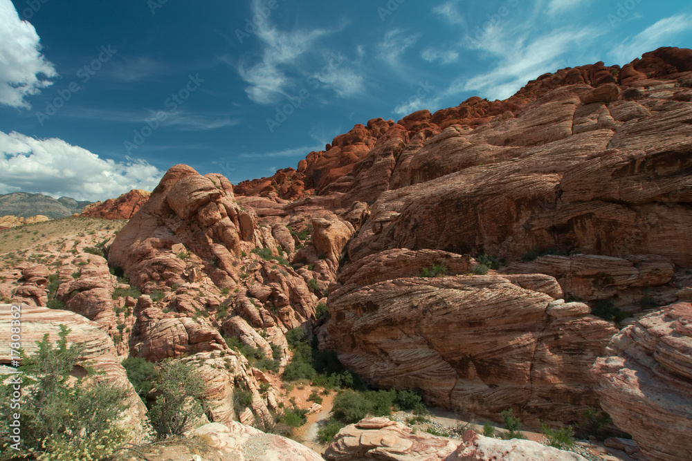 Obraz premium Red Rock Canyon