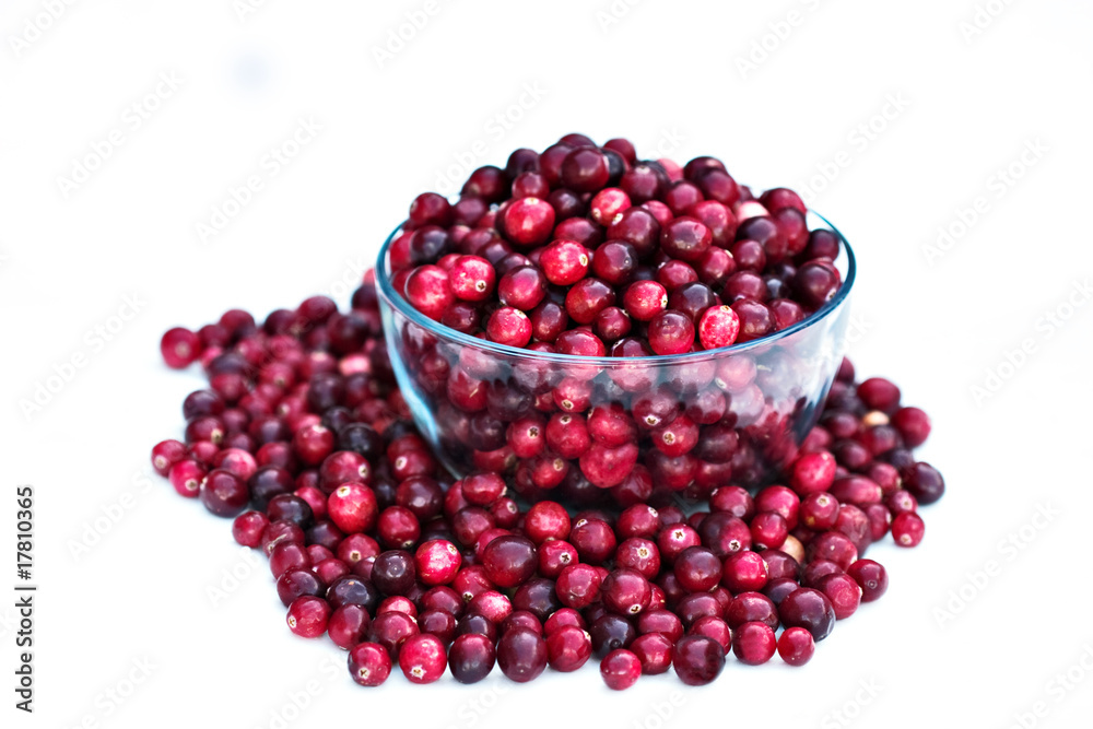 Bowl of Cranberries Isolated on White Bowl of Cranberries Isolated on White