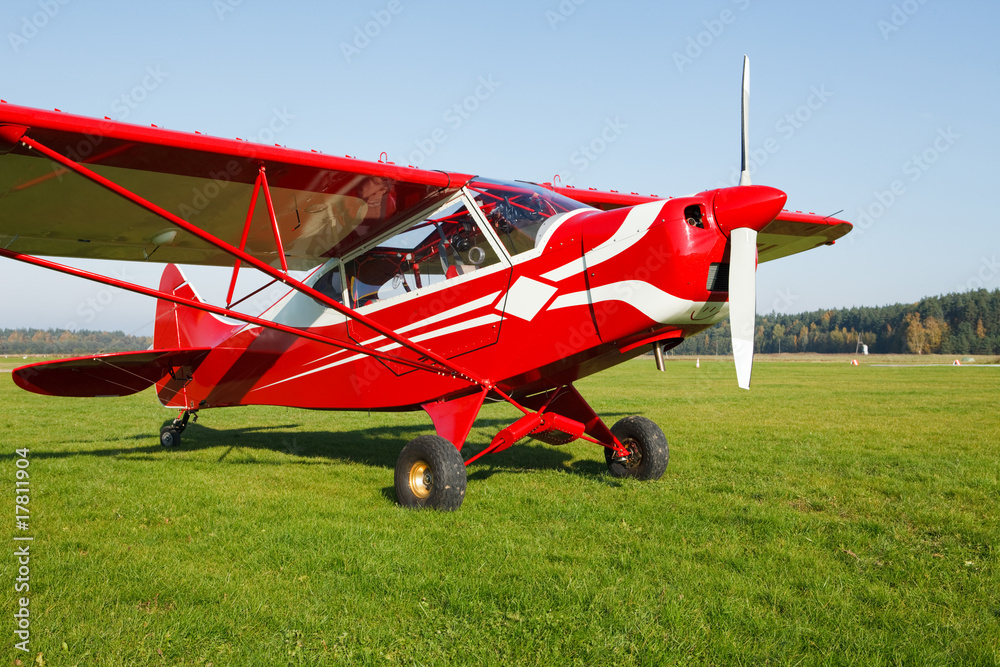 Obraz premium Small airplane on airfield grass