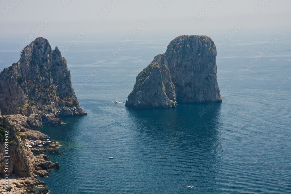 Capri Rocks with Seagull