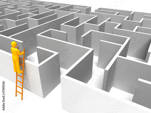 Man on the ladder with maze