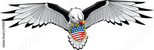 Eagle stars and stripes