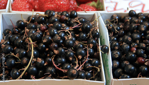 Boxws of redberries photo